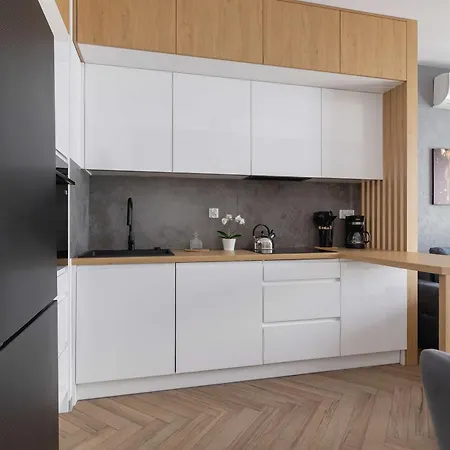 Nowoczesny W Krakowie Z Klimatyzowanym Salonem Dwa Miejsca Postojowe By Renters Kraków